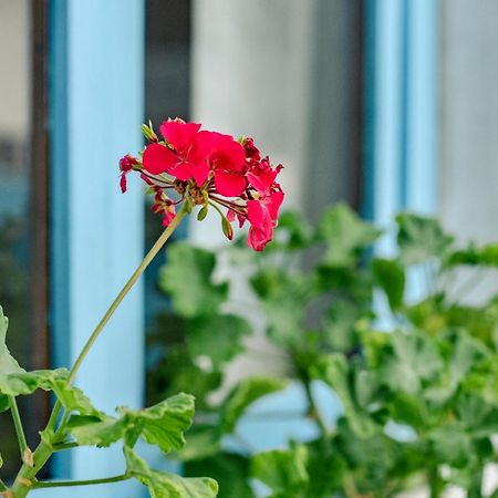 Hotel Casa Blanca ปูแอร์โต บาเกริโซ โมเรโน ภายนอก รูปภาพ